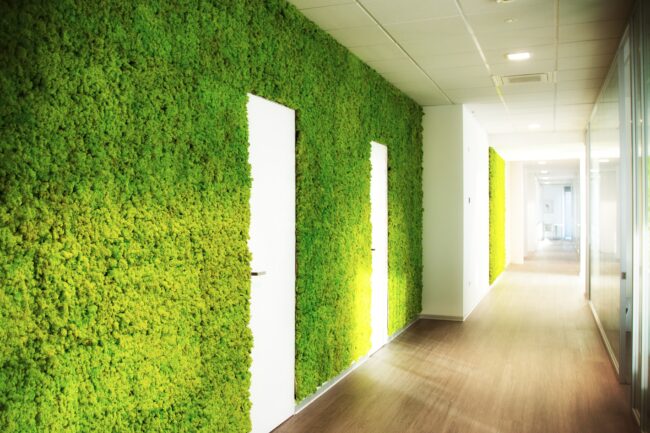 pavimento lvt jesolo